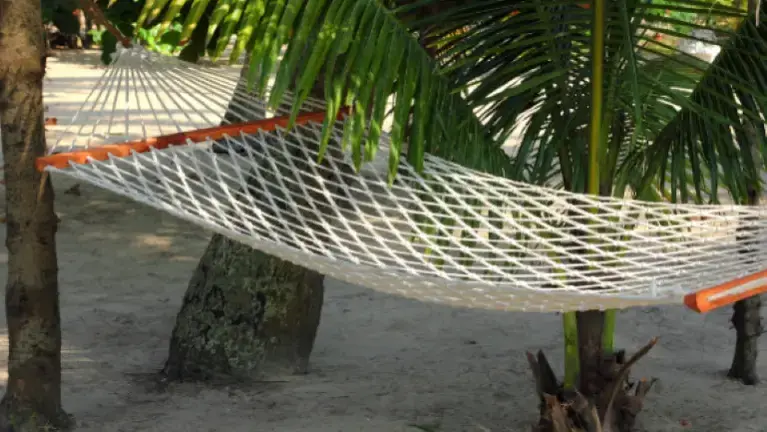 hammock hanging