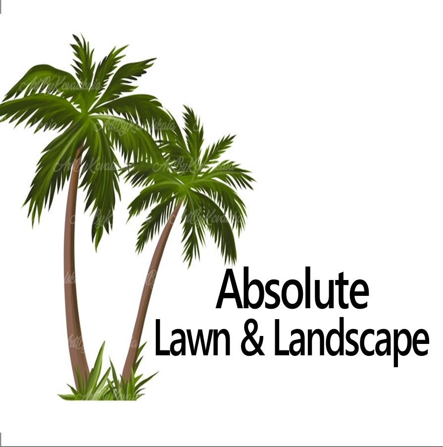 Absolute Lawn